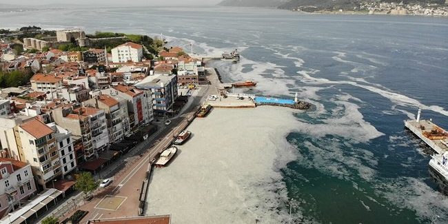 Müsilaj Nedir, Neden Olur ve Nasıl Önlenir Müsilaj Nedir, Neden Olur ve Nasıl Önlenir